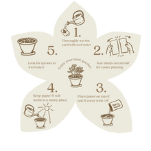 Load image into Gallery viewer, A flower-shaped graphic with five steps for planting the seed paper: 1. Thoroughly wet the card with cool water. 2. Tear damp card in half for easier planting. 3. Place paper on top of soil and cover with 1/8&quot; soil. 4. Keep paper and soil moist in a sunny place. 5. Look for sprouts in 4 to 6 days! Enjoy your mini-garden.
