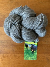 Load image into Gallery viewer, Border Leicester DK Yarn
