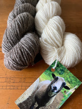 Load image into Gallery viewer, A gray and a white skein of Finn yarn lie on a table. The white skein has a tag depicting a Finnsheep.

