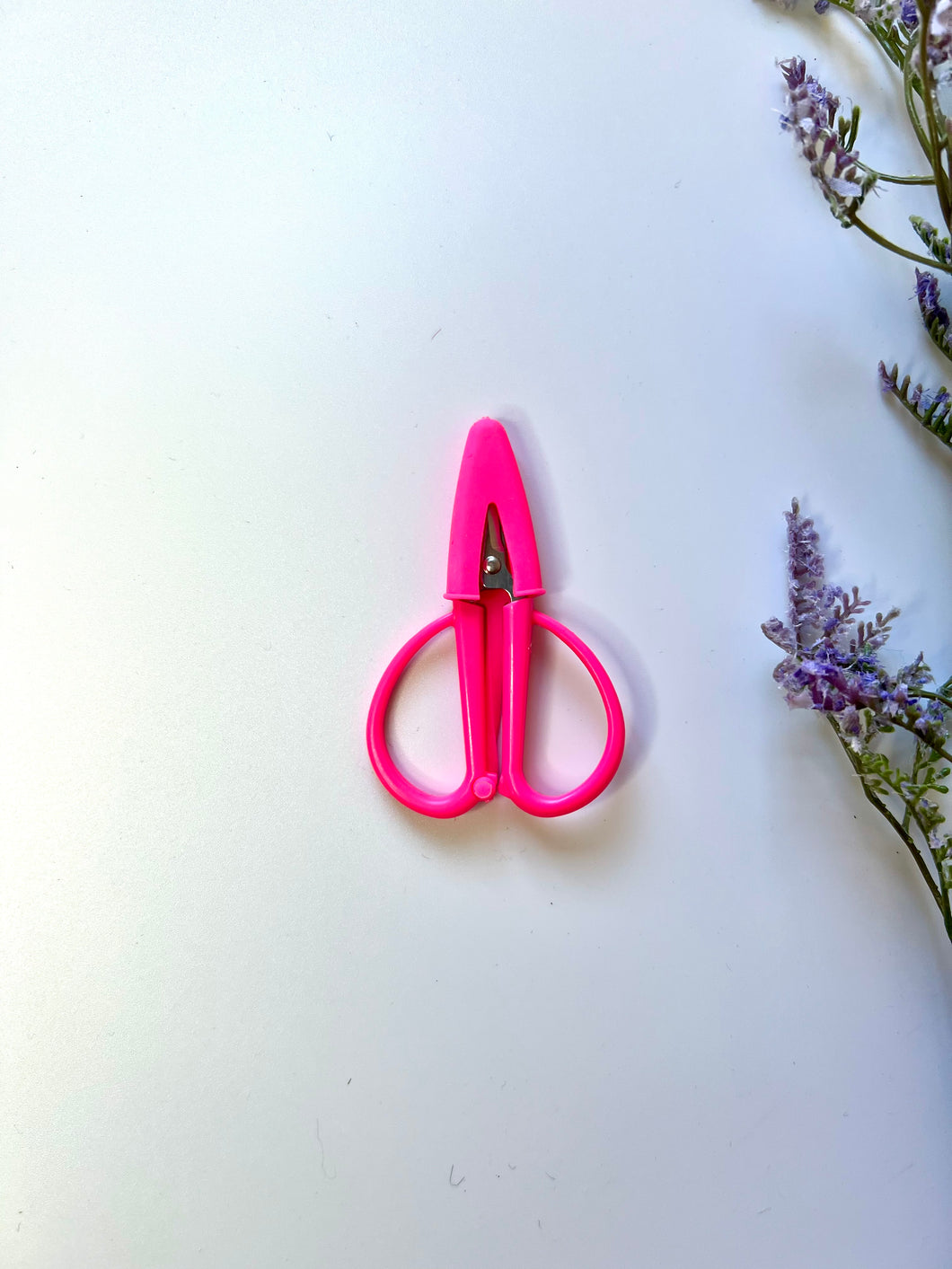 Mini Project Scissors