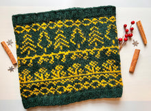 Load image into Gallery viewer, Madder and Marigold Cowl Knit Kit
