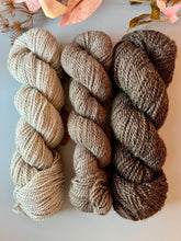 Load image into Gallery viewer, Shetland Worsted Yarn
