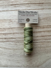 Load image into Gallery viewer, Weeks Dye Works 2-Strand Threads - Guacamole
