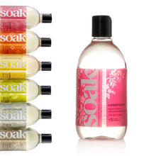 Load image into Gallery viewer, A 12 oz bottle of Soak, scent Celebration. The other scents are shown to the left.

