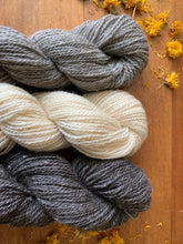 Load image into Gallery viewer, Border Leicester DK Yarn
