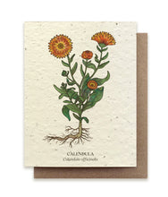 Load image into Gallery viewer, A greeting card made of seed paper shows an illustration of orange calendula: the blooms, plant and root. The word is written below in English and Latin, Calendula officinalis.
